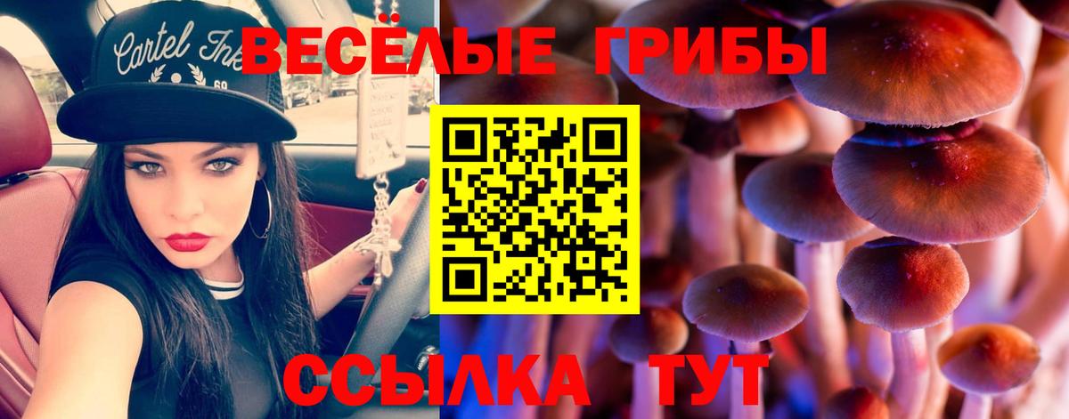 Псилоцибиновые грибы ЛСД  наркота  Псилоцибиновые грибы Cubensis  Чусовой  Вход с VPN 